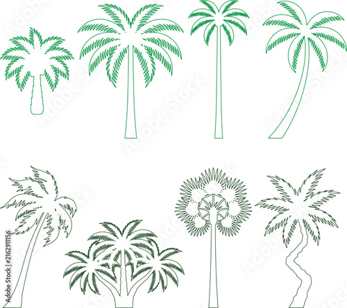 Tropical Palm Tree Collection Featuring Diverse Hand Drawn Botanical Island DesignsTropical Palm Tree Collection Featuring Diverse Hand Drawn Botanical Island Designs