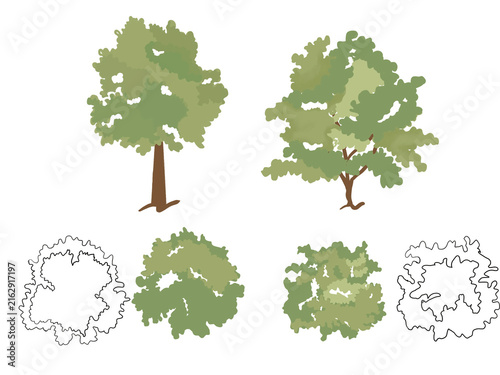 set of trees plan for architecture 