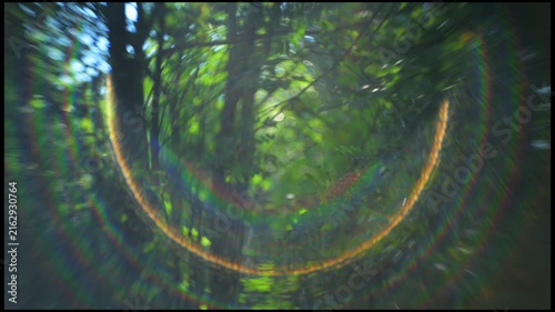 Abstract green forest portal with dreamy bokeh