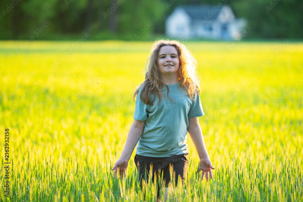 Fototapeta premium Field landscape glows in sunlight. Green field supports outdoor recreation. Field walking feels calm and natural. Field scenery creates summer wellness.