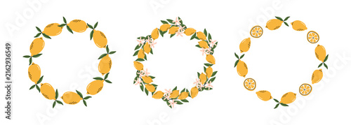 Fresh Yellow Lemon Frame Wreath Set
