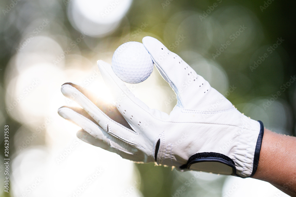 Fototapeta premium Golf ball in golf glove. Golfer holds white ball. Hand holding golf ball. Outdoor golf preparation.