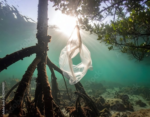 Underwater Scene with Plastic Bag in Mangrove Forest Highlighting Ocean Pollution Crisis