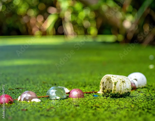 Colorful Debris on Green Algae Surface in a Natural Water Body with Scenic Background