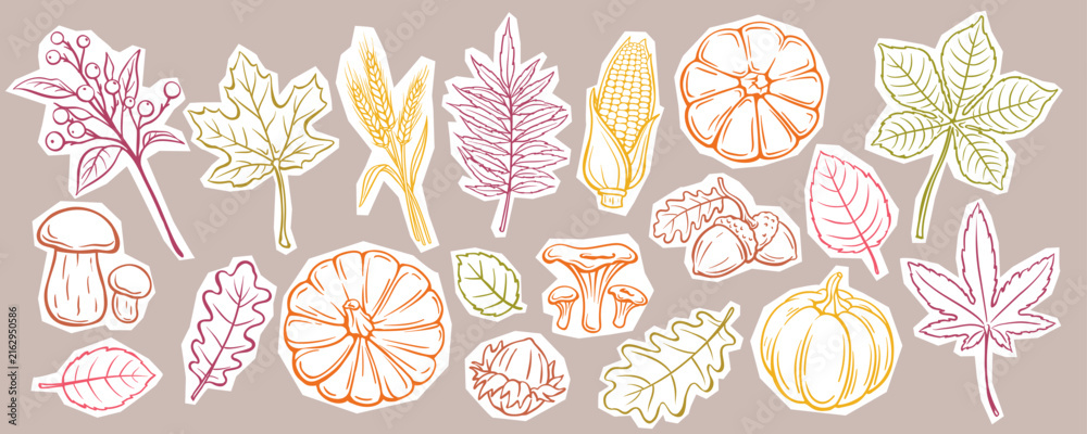 Fototapeta premium Autumn sticker set with pumpkins, leaves, mushrooms, wheat, corn, berries and acorns in hand drawn doodle style. Scrapbooking and seasonal decor with autumn sticker set, vector illustration