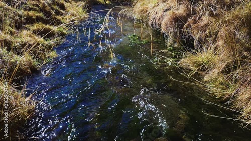 Clear mountain stream flows through golden grassy banks. Water ripples gently under sunlight. Natural wilderness scene with no people. Ideal for travel, nature, or eco-documentary projects