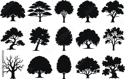 Vector tree silhouette collection featuring various species like oak maple and willow for landscape architecture design