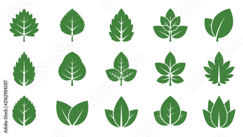 Leaf Icons Set, Various Shapes and Sizes, Green Vector Illustrations, Botanical Design Elements, Natural Graphic Symbols.