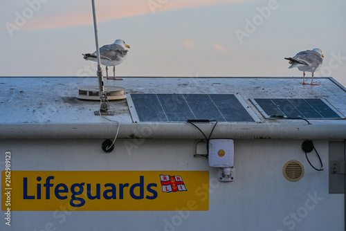 Canvastavla Seagulls Resting on Lifeguard Station by the Seaside
