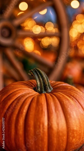 Autumn background pumpkin harvest Thanksgiving rustic bokeh lights for seasonal holiday promo video