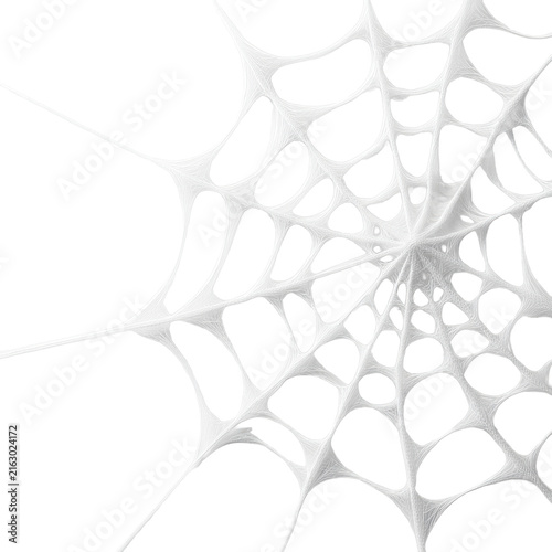 Delicate white spiderweb corner with fine silk strands and soft shadowed mesh pattern