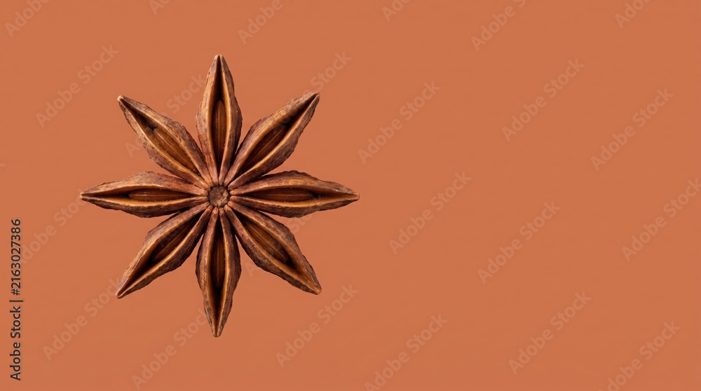 © Vector Vertor - Single Star Anise Spice on a Warm Orange Background © Vector Vertor - Single Star Anise Spice on a Warm Orange Background
