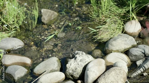 Clear Shallow Stream Flowing Through Smooth Rocks and Green Grass