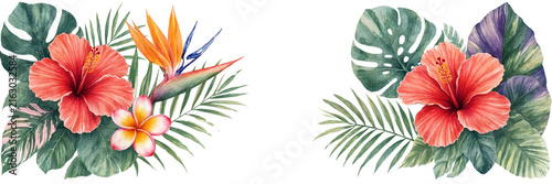 Tropical hibiscus, plumeria, bird of paradise, floral arrangement isolated on transparent background