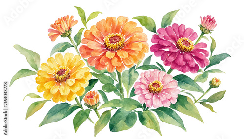 Colorful coral and peach zinnia flowers with green leaves, loose watercolor summer botanical spray isolated on transparent background. Flower PNG.