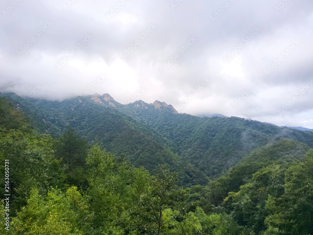 Fototapeta premium Panoramic view of misty green mountain range covered with thick clouds at Hangyeoryeong Pass