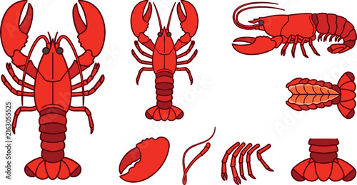 Bild auf Leinwand Red Lobster Vector Icon Set with Whole Seafood Crustaceans, Tails, Claws, and An