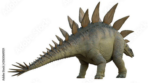 Stegosaurus dinosaur with plates and spiked tail