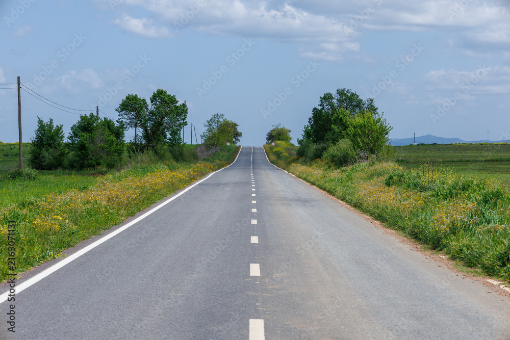 Naklejka premium Rural road extending into distance through alentejo landscape
