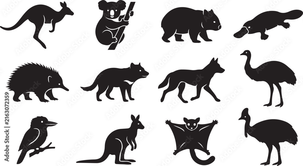 Obraz premium Collection of black silhouettes of australian wildlife including kangaroo, koala, wombat, platypus, echidna, tasmanian devil, dingo, emu, kookaburra, and sugar glider on a white background
