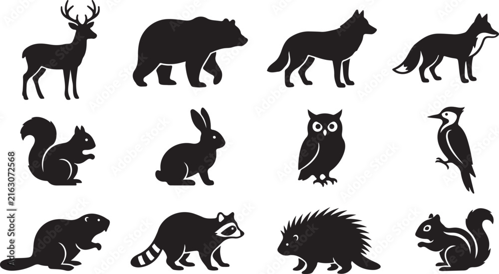Fototapeta premium Set of black silhouette featuring north american forest animals including a deer, bear, wolf, fox, squirrel, rabbit, owl, woodpecker, beaver, raccoon, porcupine, and chipmunk on white background