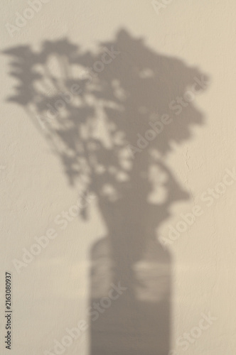 Minimalist abstract background with the shadow of a flower bouquet in a vase on a beige wall under sunlight