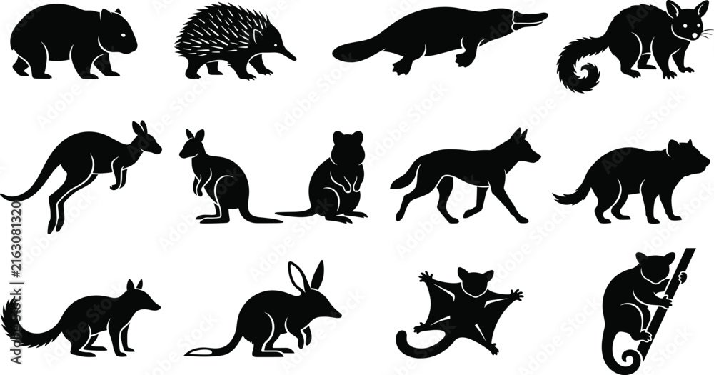 Obraz premium Australian Marsupial and Native Wildlife Silhouette Vector Collection with Animal Icon Set