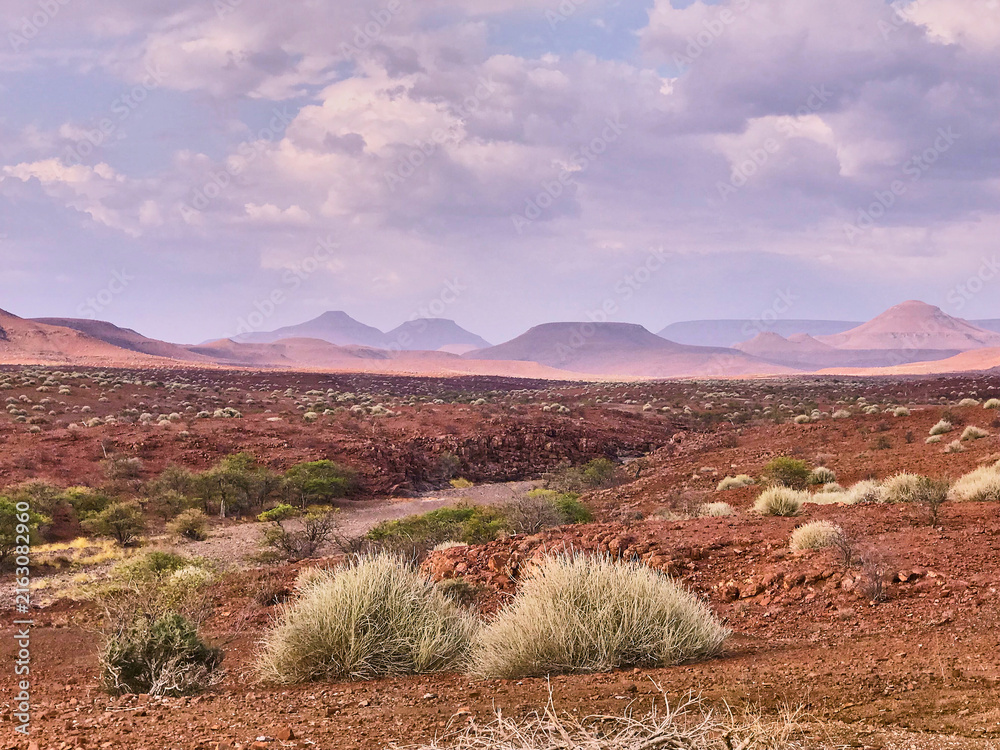 northern part of Namib desert covered mit brown stones and Euphorbia damarana 648