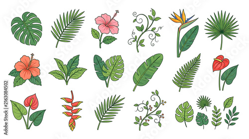 Colorful tropical leaves and flowers vector illustration set.
