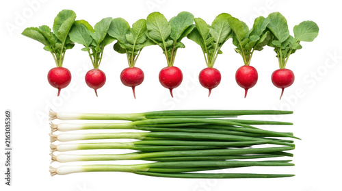 Fresh red radishes and green spring onions arranged in neat rows on a flat surface