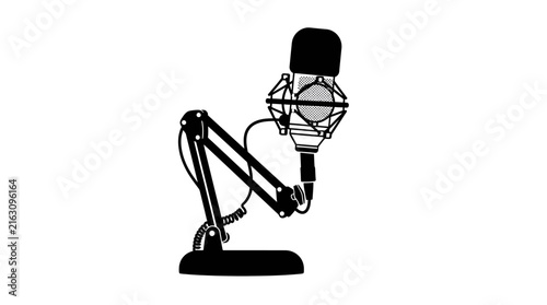 Professional microphone on adjustable stand for audio recording and broadcasting