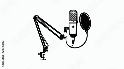 Professional microphone and arm for audio recording and broadcasting