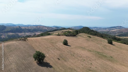 Europe, Italy, Lombardy, Pavia, Montù Berchielli – drone view of the Oltrepò Pavese hills; drought and water shortages lead to an early grape harvest for wine production. Global warming and climate ch