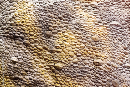Detailed pebbled texture of dinosaur skin scales showing bumpy pattern and brownish yellow tones.