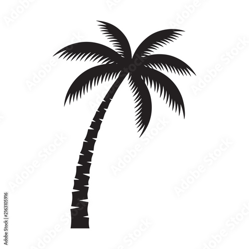 Black silhouette of a palm tree against a white background