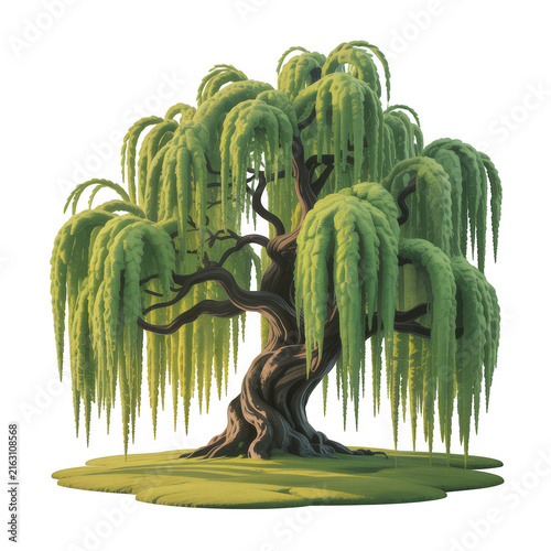 Serene weeping willow tree with lush green leaves and twisted trunk