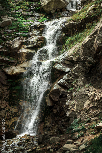 Rocky Alpine Mountain Stream Flowing Through Conifer Forest
