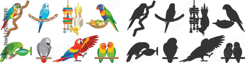 Colorful Parrot and Bird Illustration Collection with Matching Black Silhouette Vector Set