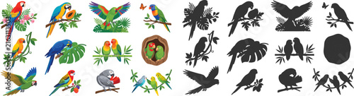Colorful Parrot and Bird Illustration Collection with Tropical Foliage and Black Silhouette Designs