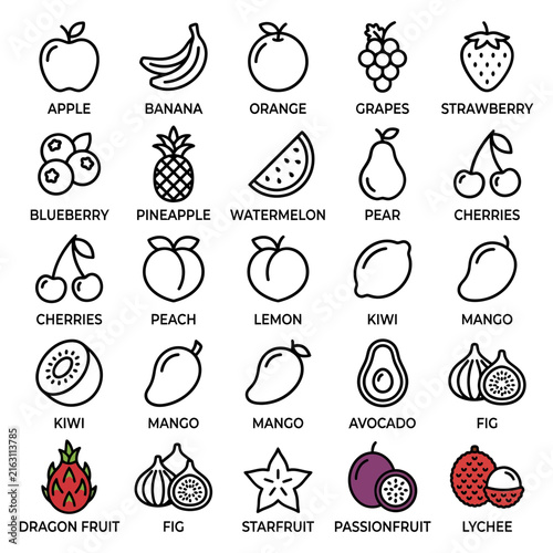 Assorted Fruits Line Art Flat Style with White Background for Graphic Design