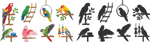 Colorful Parrot Illustration Collection with Perched Birds and Black Silhouette Vector Set