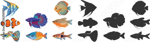 Colorful Tropical Fish Illustration and Black Silhouette Collection for Aquarium and Marine Designs