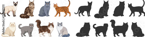 Cute Cat Breed Illustration and Black Silhouette Collection for Children and Pet Designs