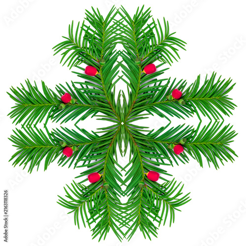 Symmetrical evergreen pine branches and red berries arranged as a festive Chr...