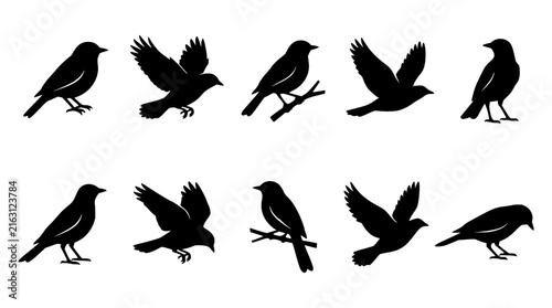 Ten silhouette birds set with minimalist black vector art featuring flying flock, dark outlines, and clean geometric shapes