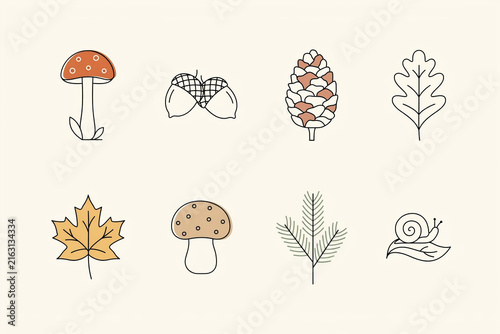 Collection of minimalist outline vector illustrations depicting natural autumnal and woodland elements red mushroom acorn pine cone oak leaf maple leaf brown mushroom pine branch and snail on a leaf