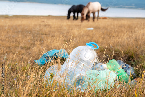 Plastic bottles pollution trash meadow field grazing horse pair background Batak lake reservoir environmental damage ecosystem contamination Bulgaria