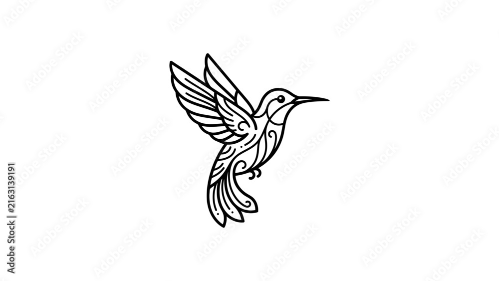 Fototapeta premium Black line art hummingbird illustration.