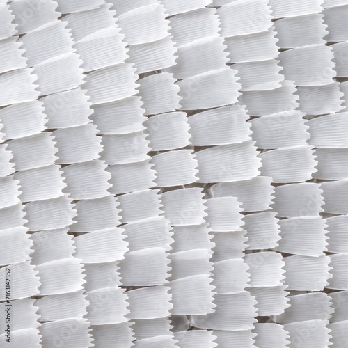 Extreme microscopic detail of white moth wing scales