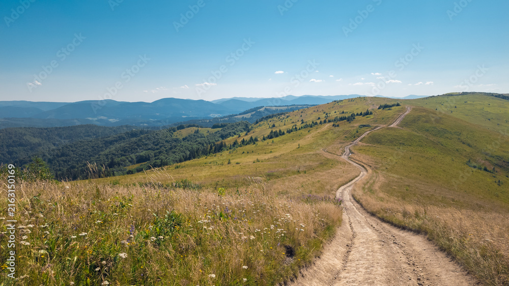 Fototapeta premium Winding dirt hiking path leading up a grassy green mountain hill against a clear blue sky on a sunny day.